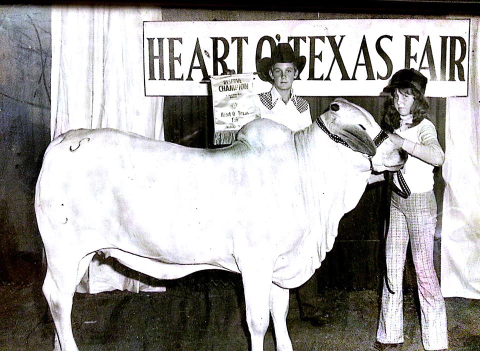 Swaner Brahmans - Heart O' Texas Fair