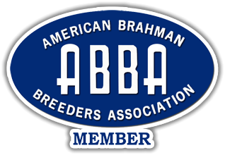 Swaner Brahmans - American Brahman Breeders Association Medmber ABBA